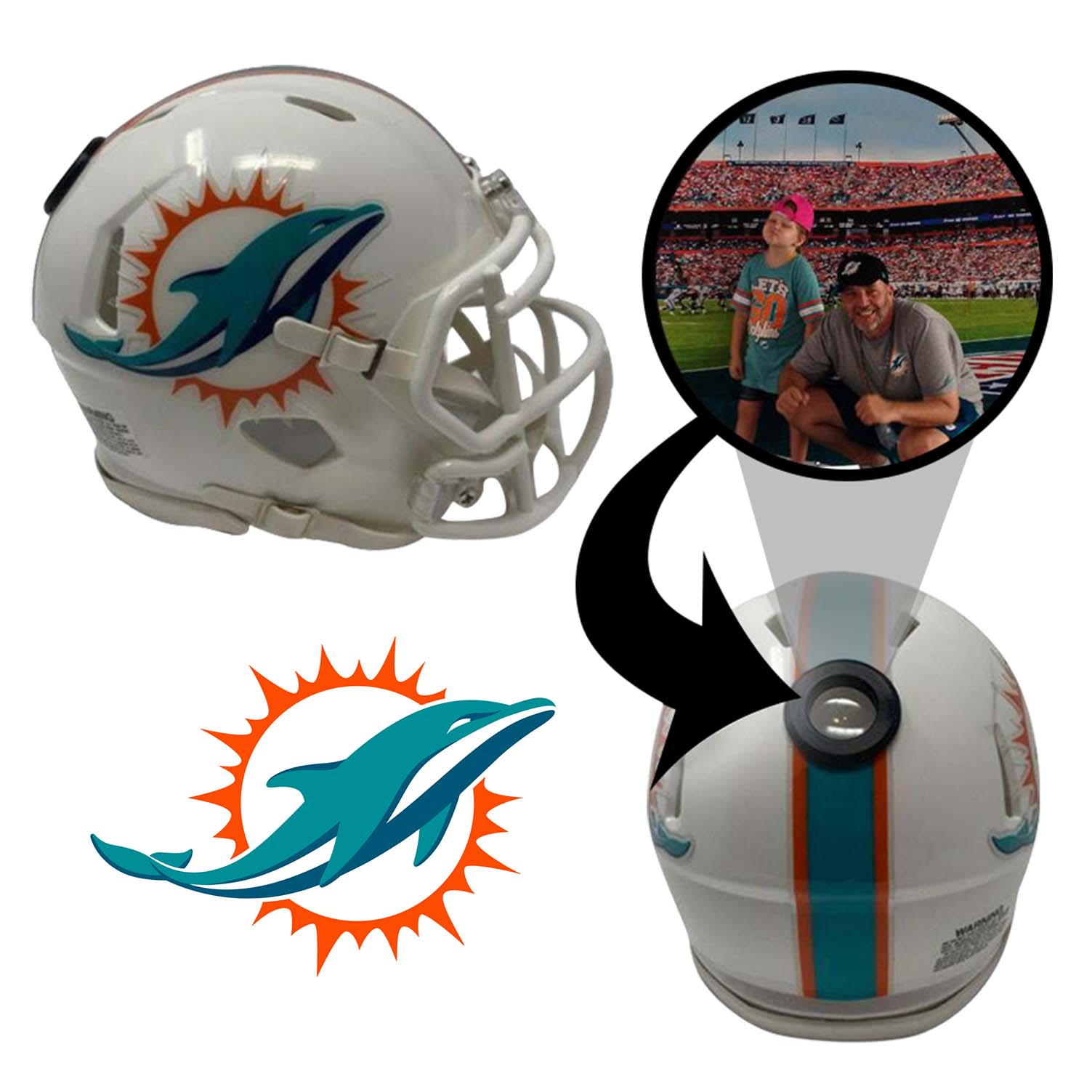 Miami Dolphins NFL Collectible Mini Helmet - Picture Inside - FANZ Col –  Fanz Collectibles