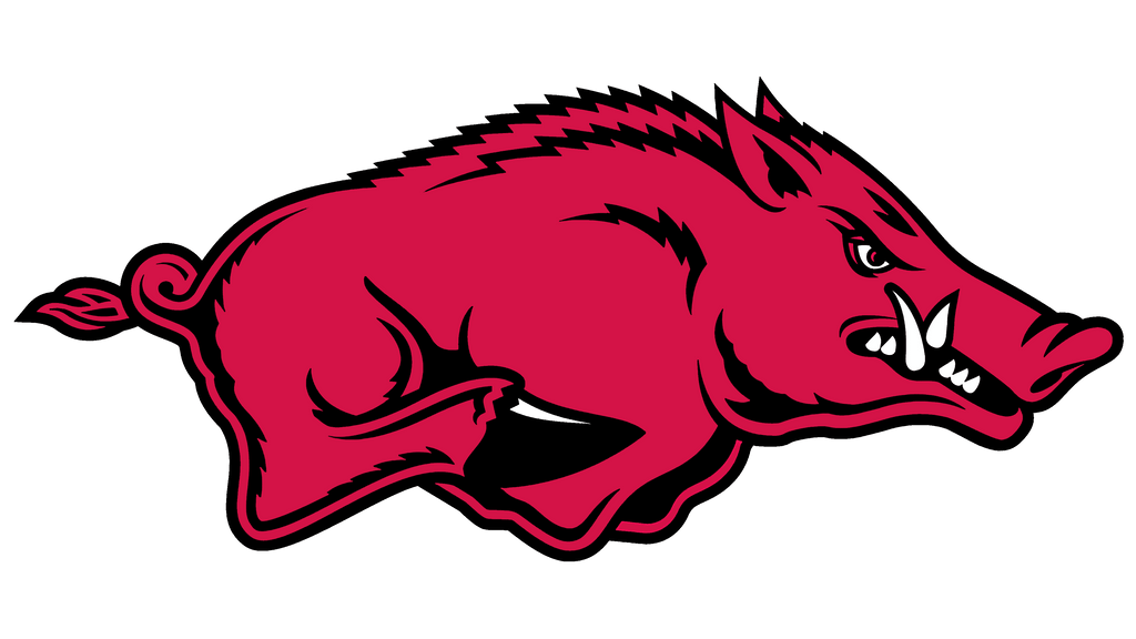 Fanz-Razorbacks-University-of-Arkansas