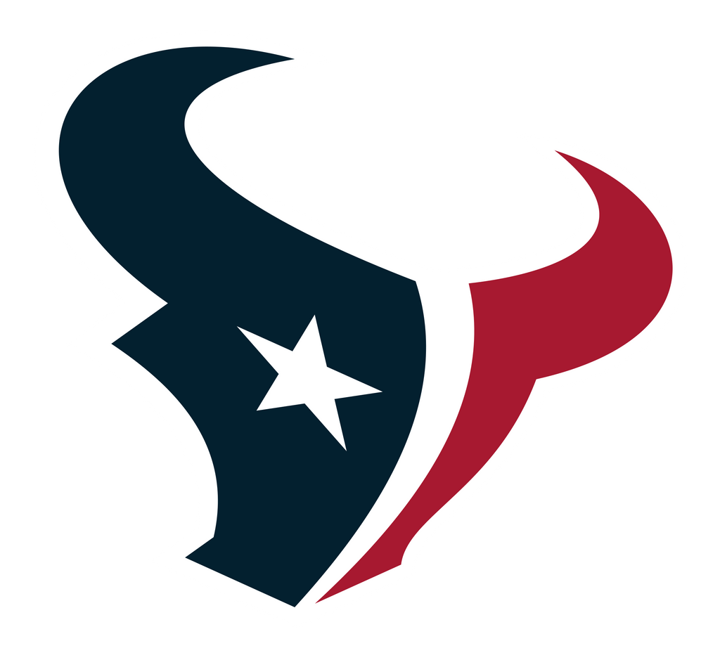 Fanz-Texans-Houston-NFL