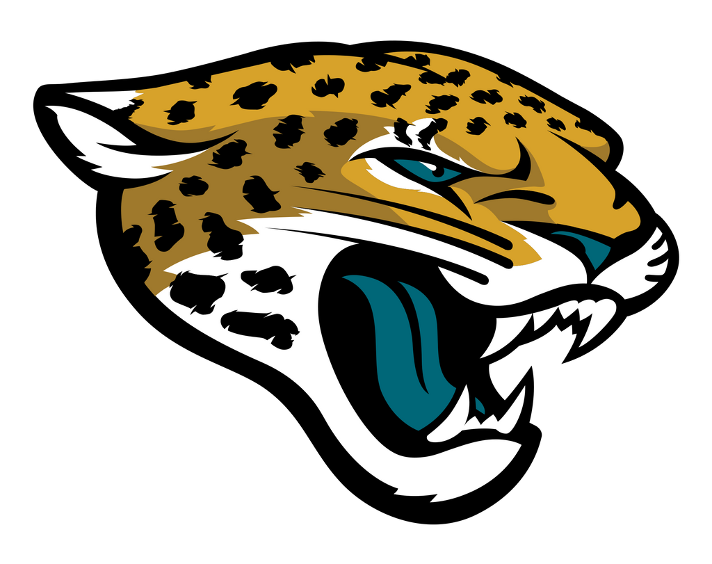 Fanz-Jaguars-Jacksonville-NFL