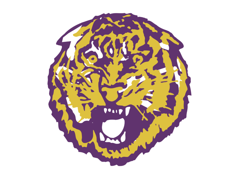 Fanz-Tigers-Louisiana-State-University