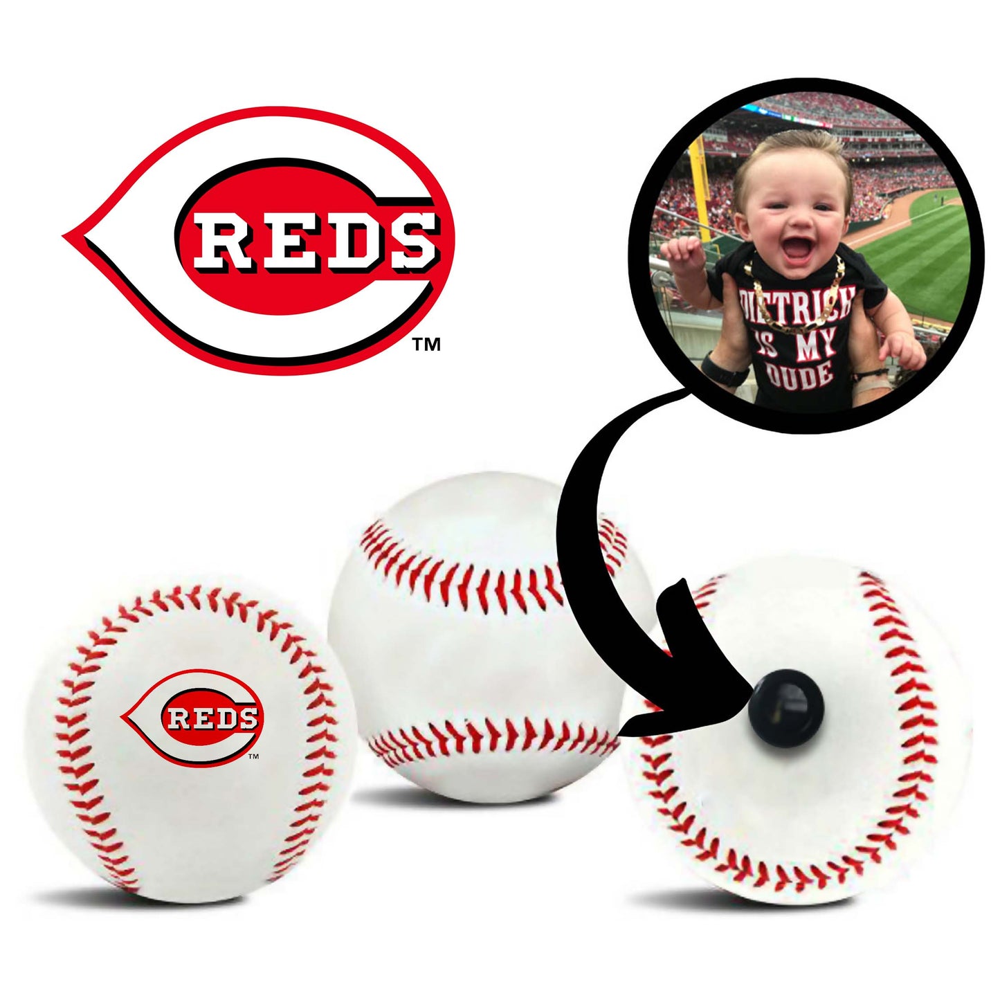Cincinnati Reds MLB Collectible Baseball - Picture Inside - FANZ Collectibles