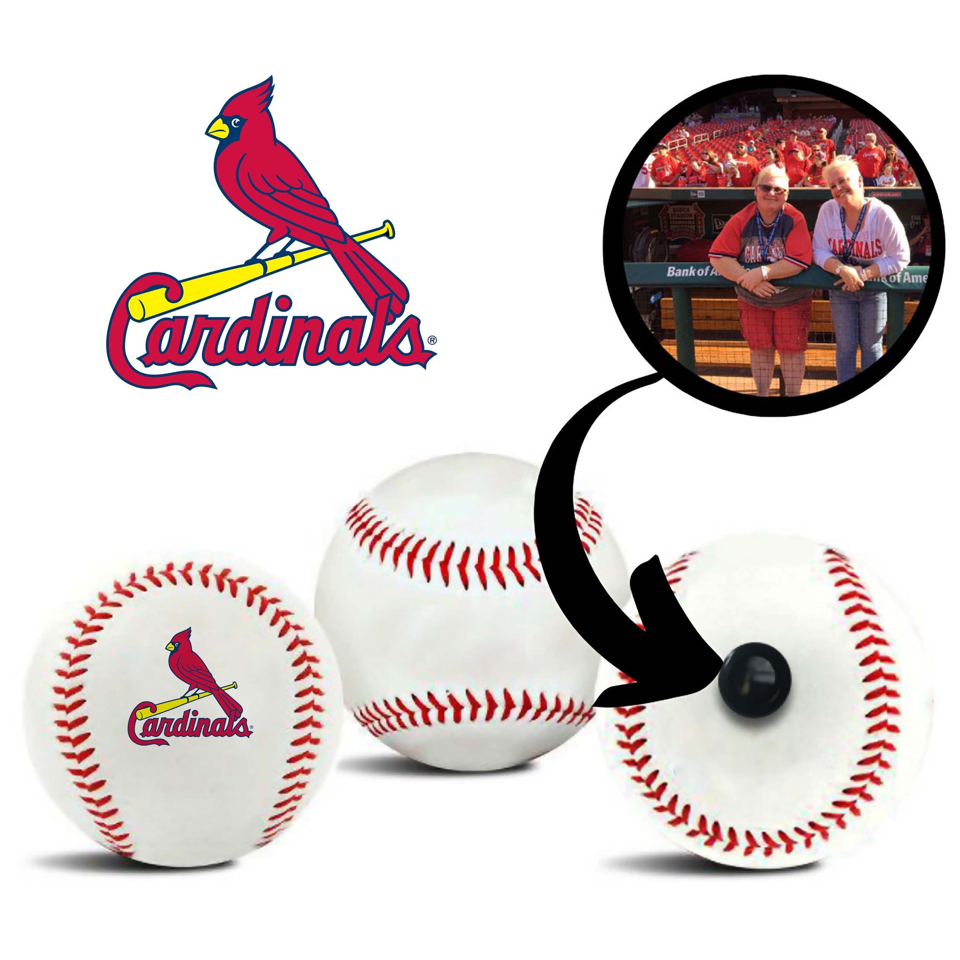 699 Cardinals Baseball Images, Stock Photos, 3D objects, & Vectors