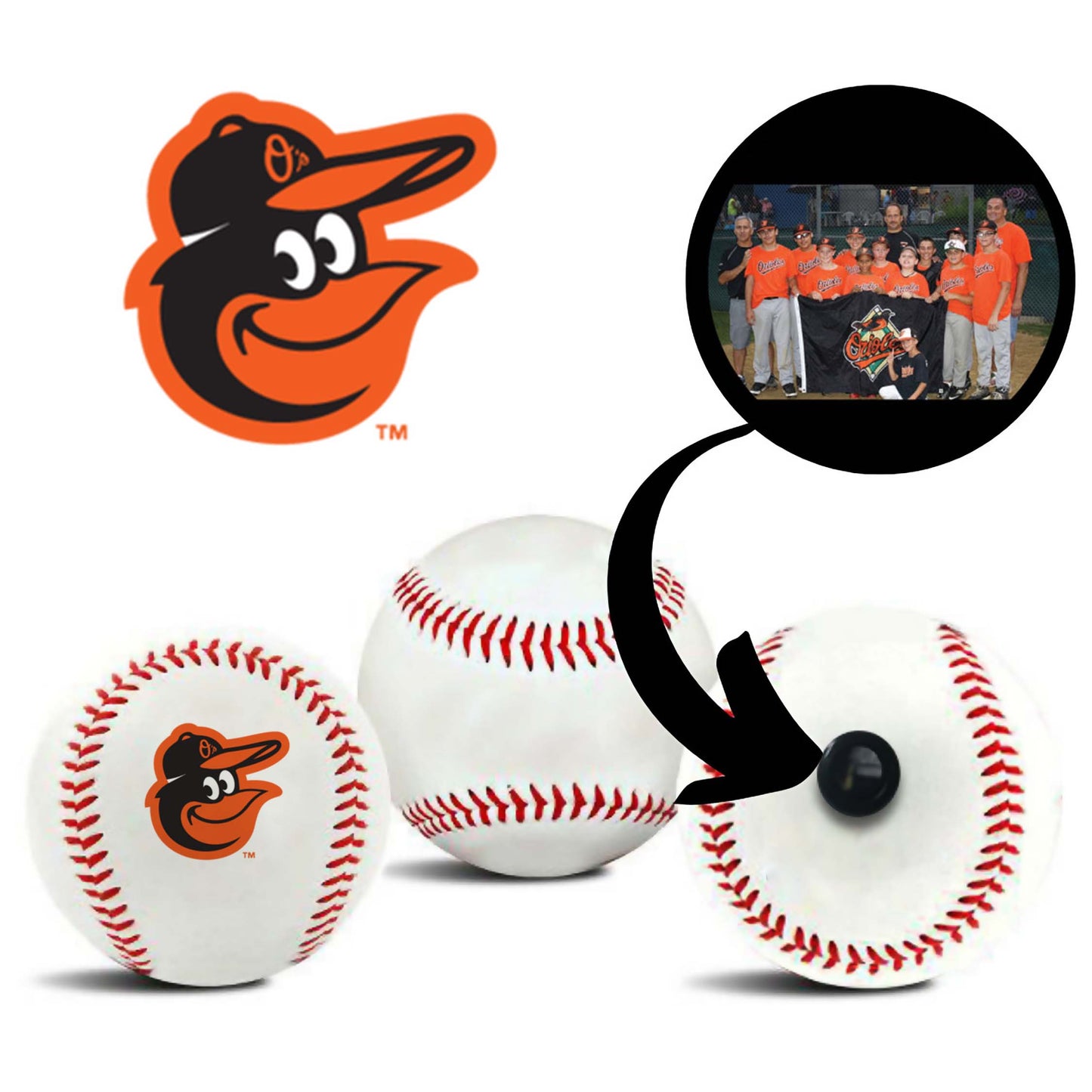 Baltimore Orioles MLB Collectible Baseball - Picture Inside - FANZ Collectibles