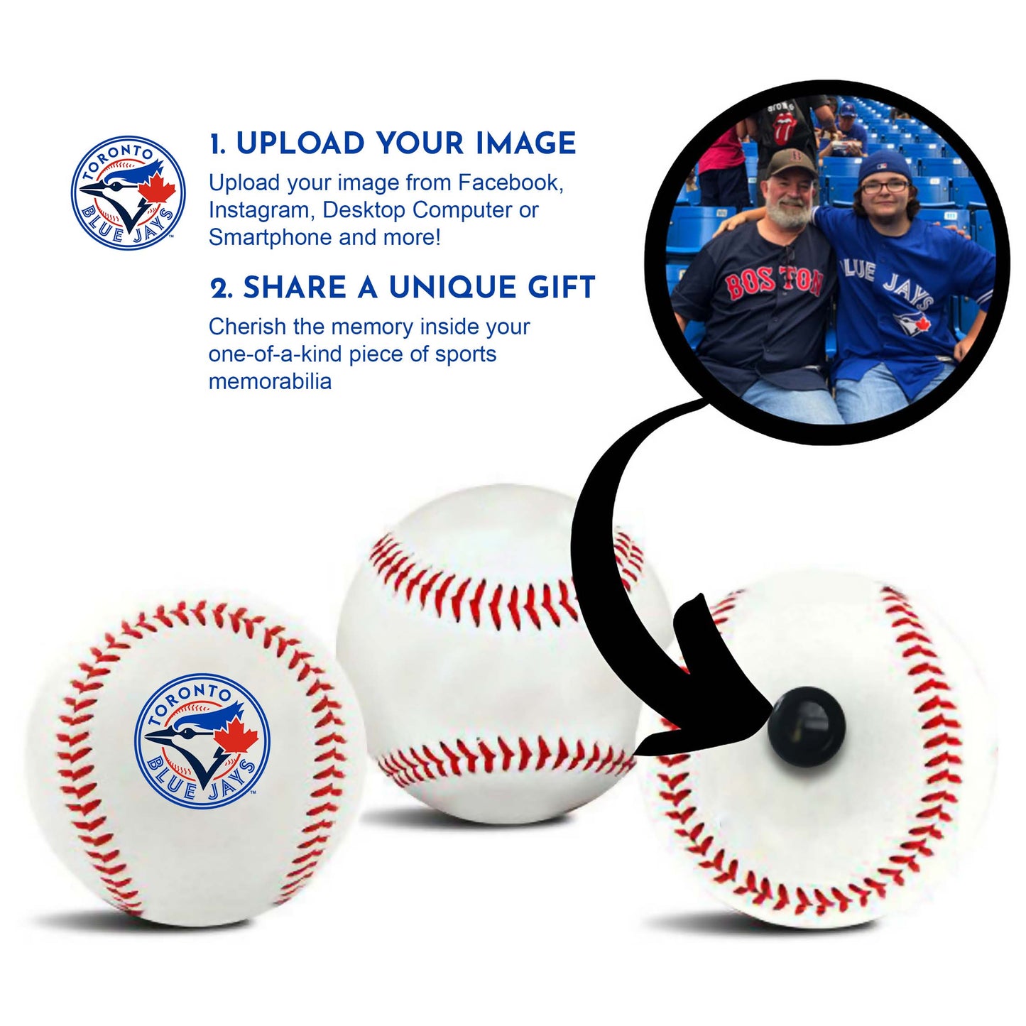 Toronto Blue Jays MLB Collectible Baseball - Picture Inside -  FANZ Collectibles