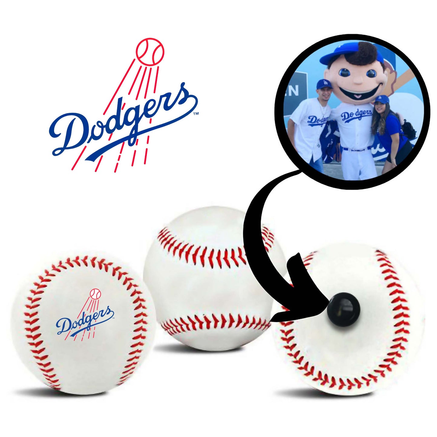 Los Angeles Dodgers MLB Collectible Baseball - Picture Inside - FANZ Collectibles