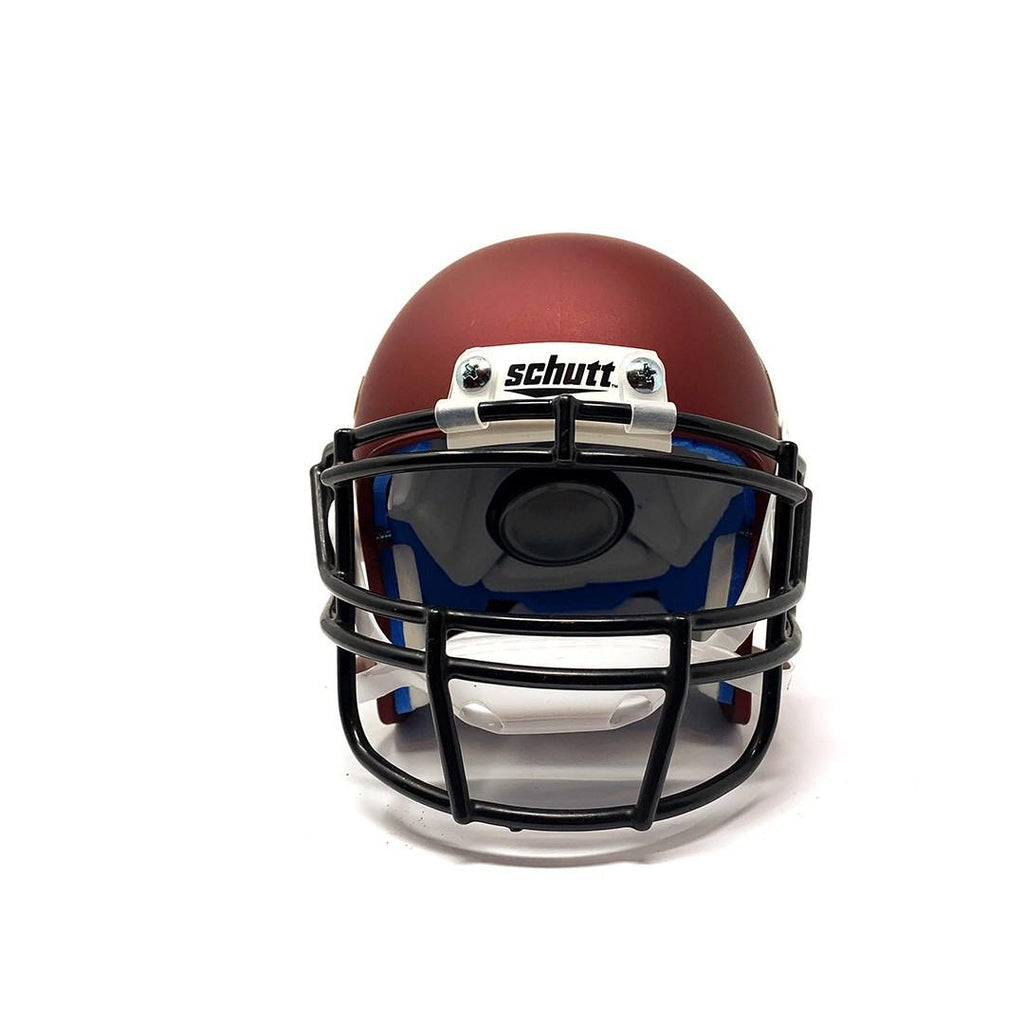 Minnesota Golden Gophers College Football Collectible Schutt Mini Helmet - Picture Inside - FANZ Collectibles - Fanz Collectibles