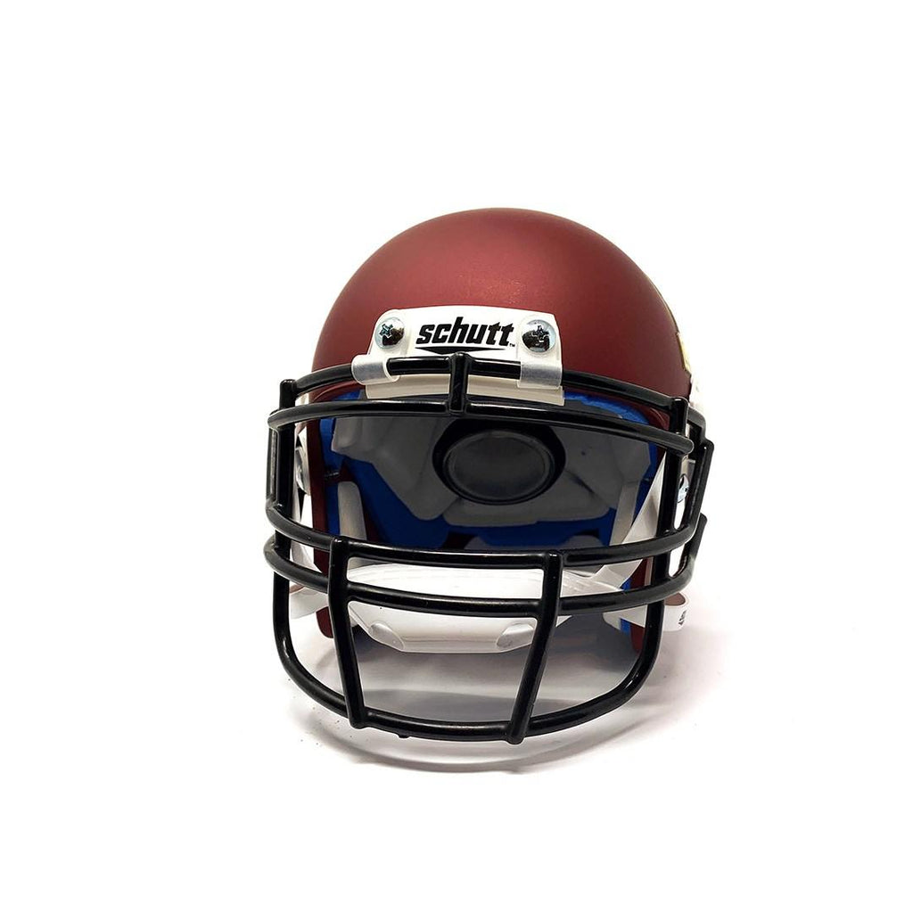 Minnesota Golden Gophers College Football Collectible Schutt Mini Helmet - Picture Inside - FANZ Collectibles - Fanz Collectibles