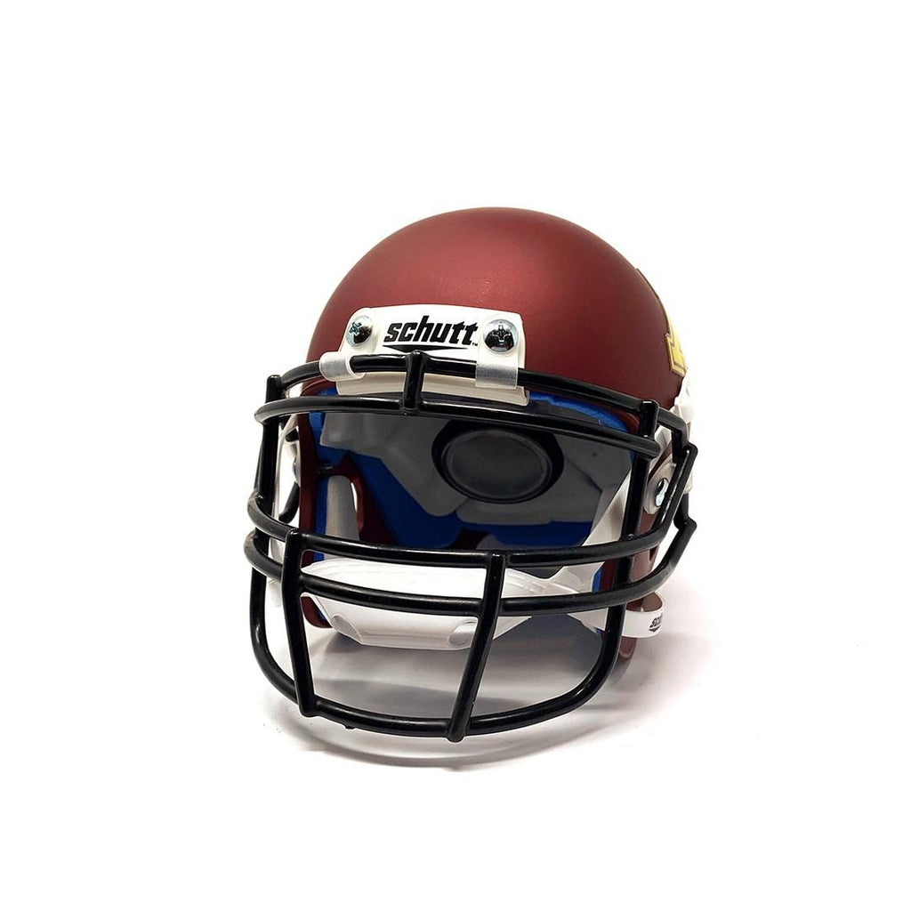 Minnesota Golden Gophers College Football Collectible Schutt Mini Helmet - Picture Inside - FANZ Collectibles - Fanz Collectibles