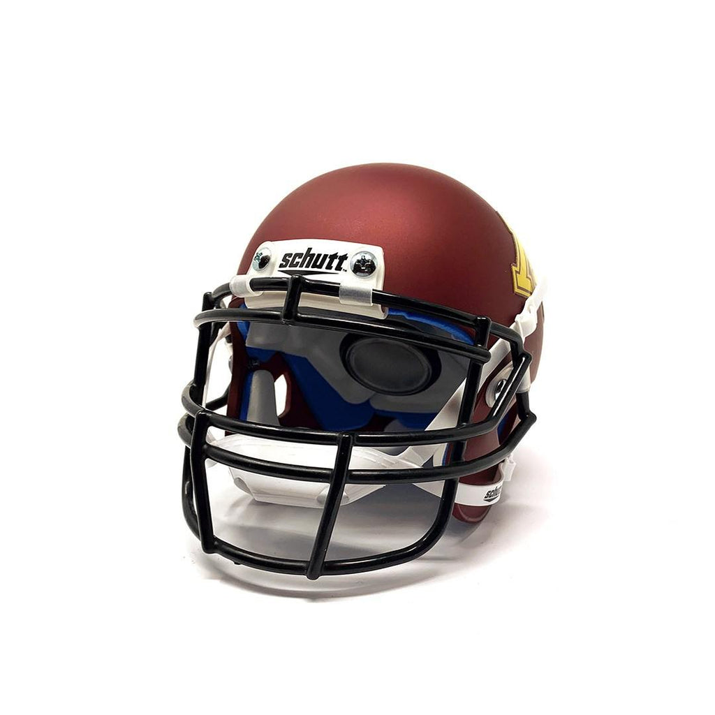 Minnesota Golden Gophers College Football Collectible Schutt Mini Helmet - Picture Inside - FANZ Collectibles - Fanz Collectibles