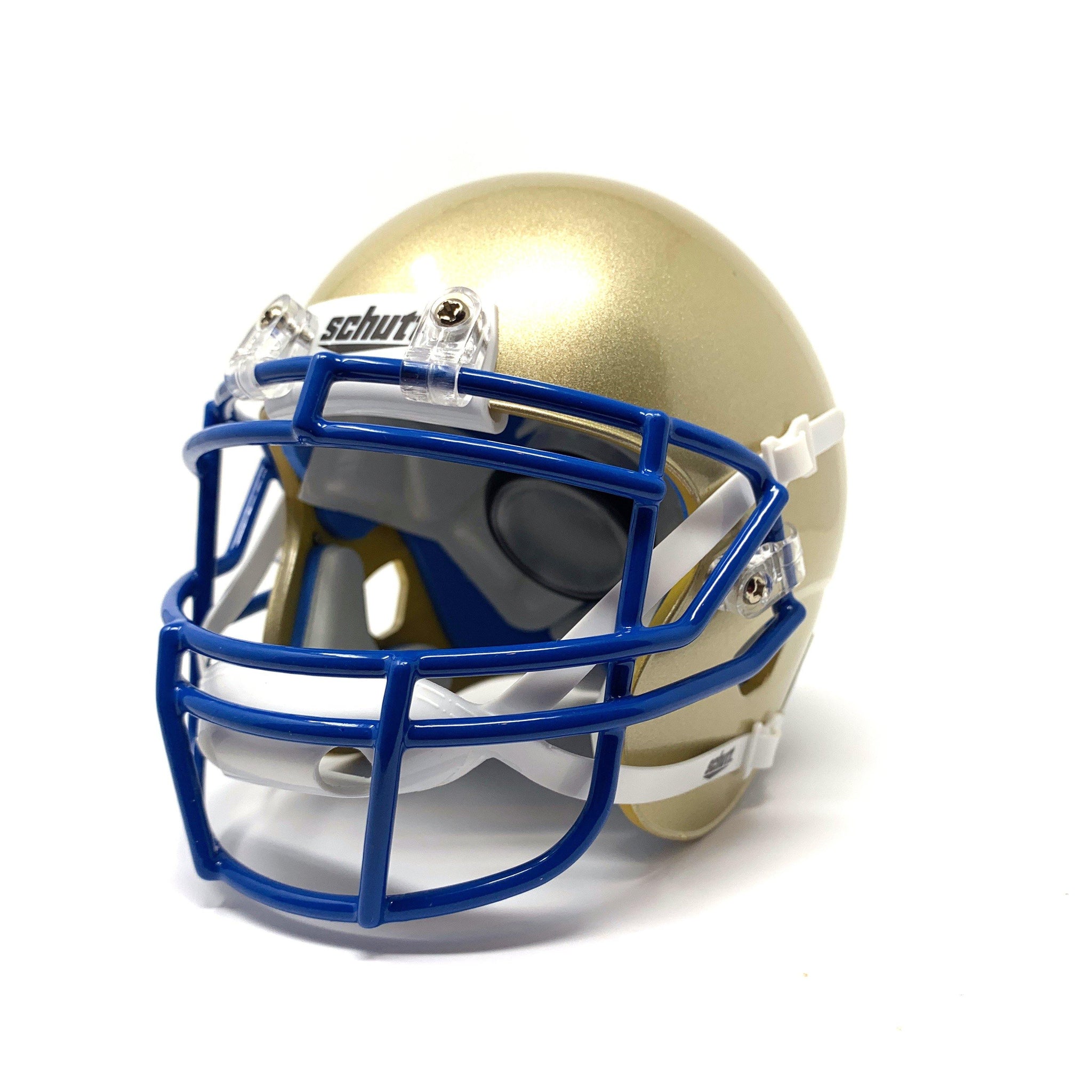 Football Helmet Collectible