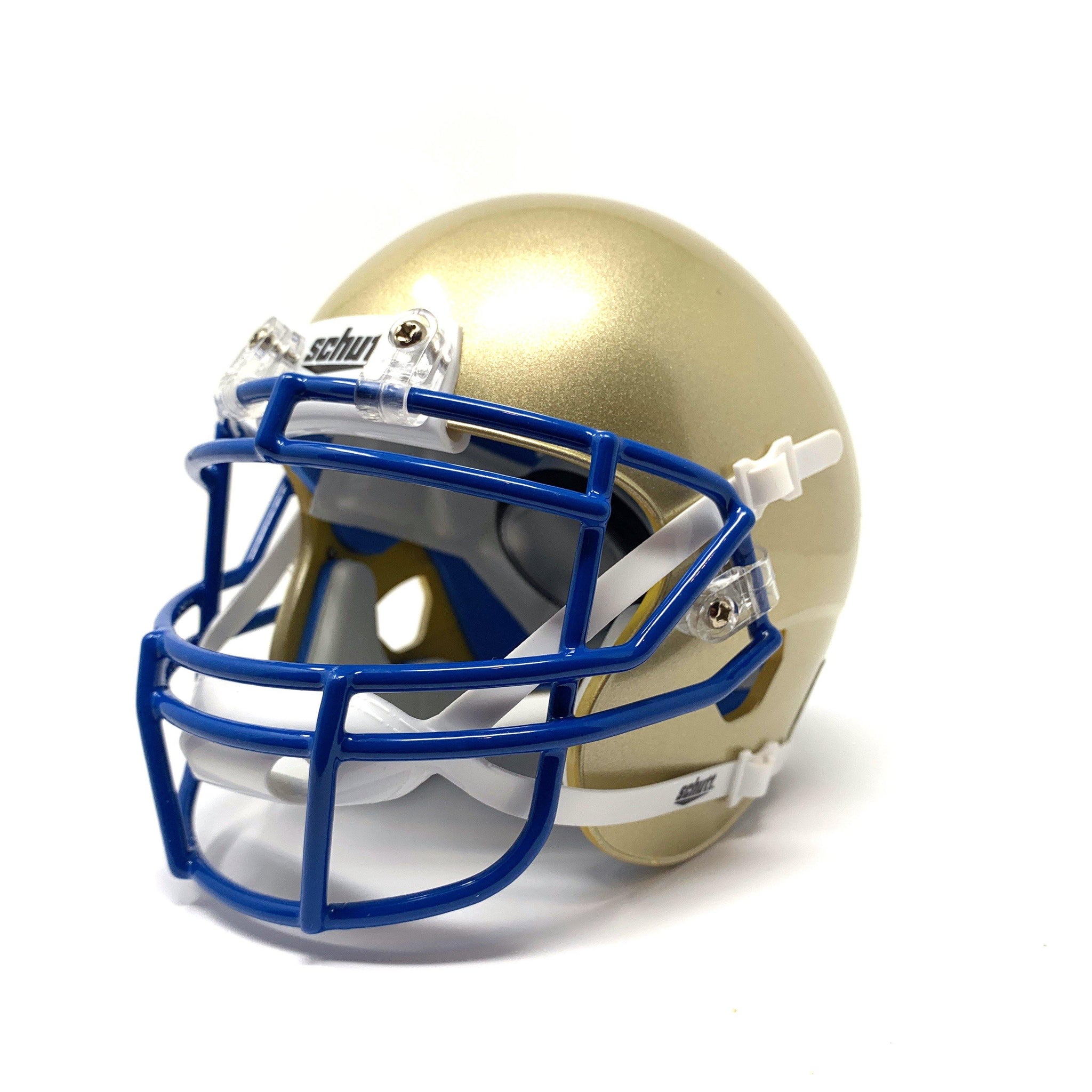 Football Helmet Collectible