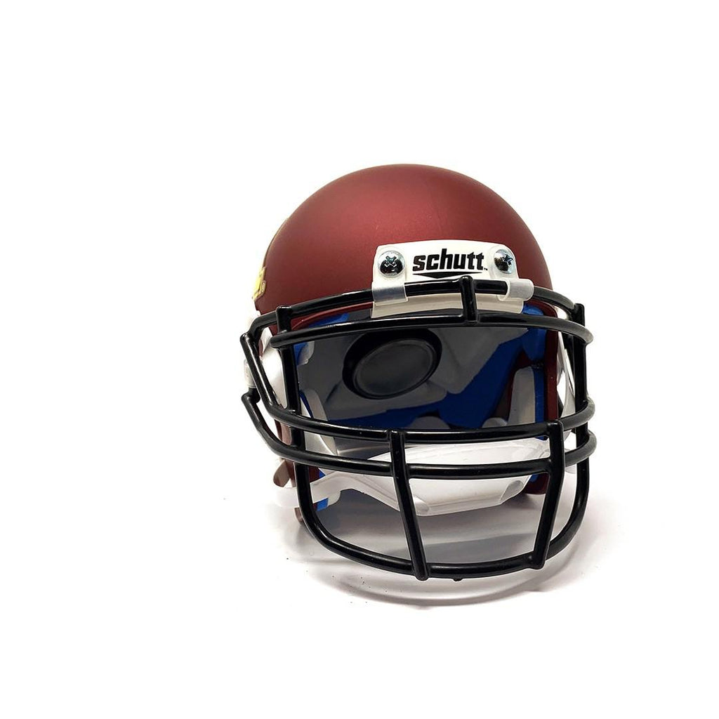 Minnesota Golden Gophers College Football Collectible Schutt Mini Helmet - Picture Inside - FANZ Collectibles - Fanz Collectibles