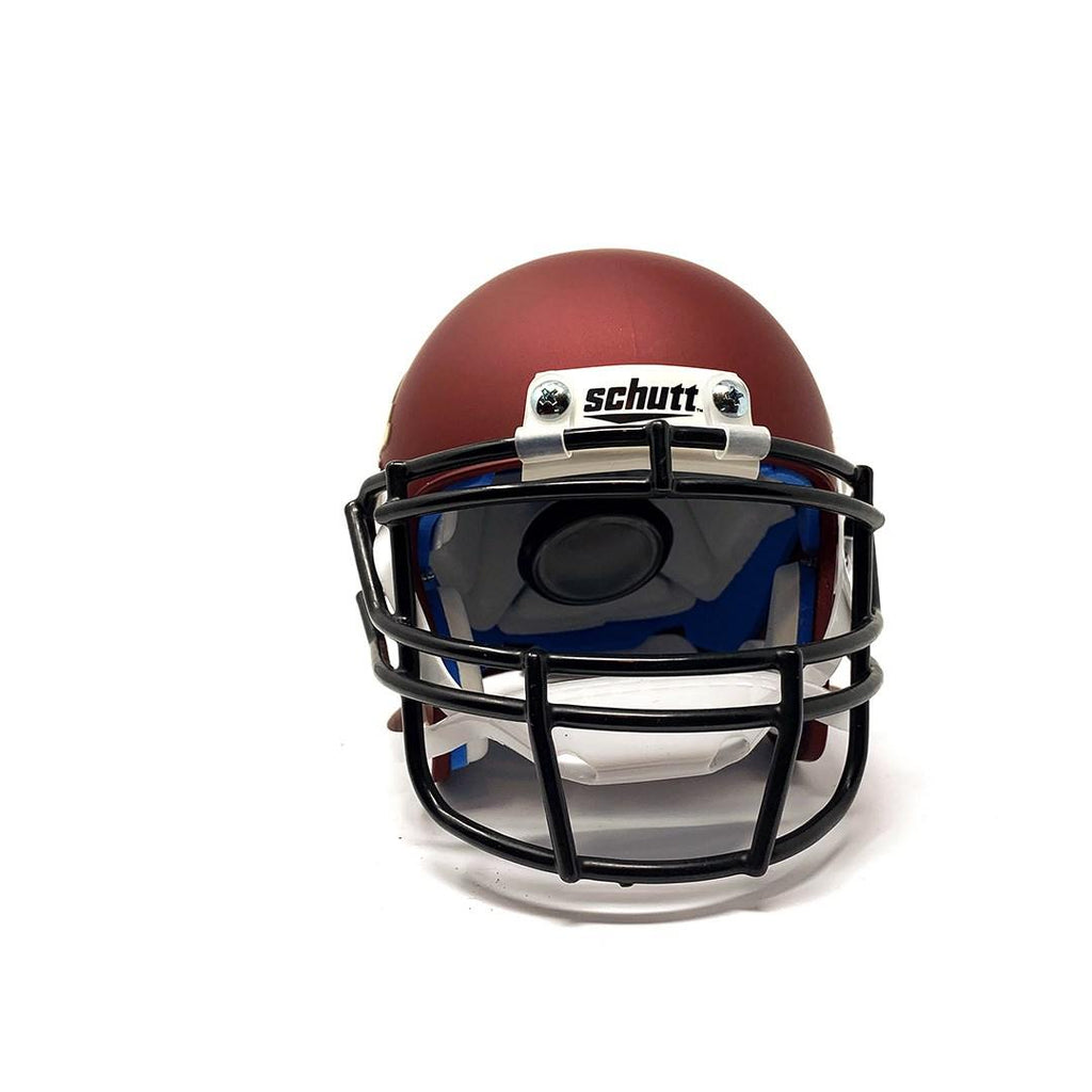 Minnesota Golden Gophers College Football Collectible Schutt Mini Helmet - Picture Inside - FANZ Collectibles - Fanz Collectibles
