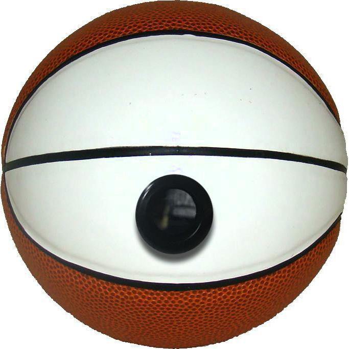 Basketball Collectible - Fanz Collectibles