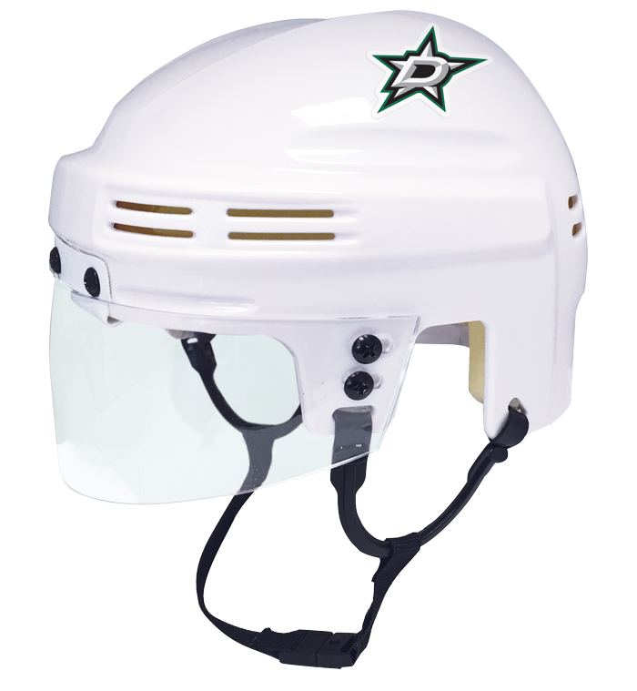 Dallas Stars - NHL Collectible Mini Helmet - Picture Inside - FANZ Collectibles
