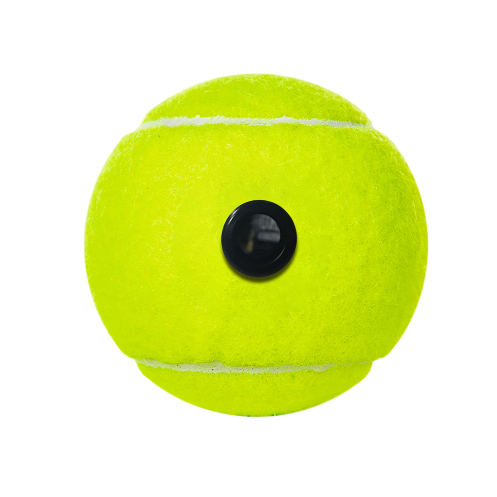Tennis Ball - Picture Inside - FANZ Collectibles - Fanz Collectibles